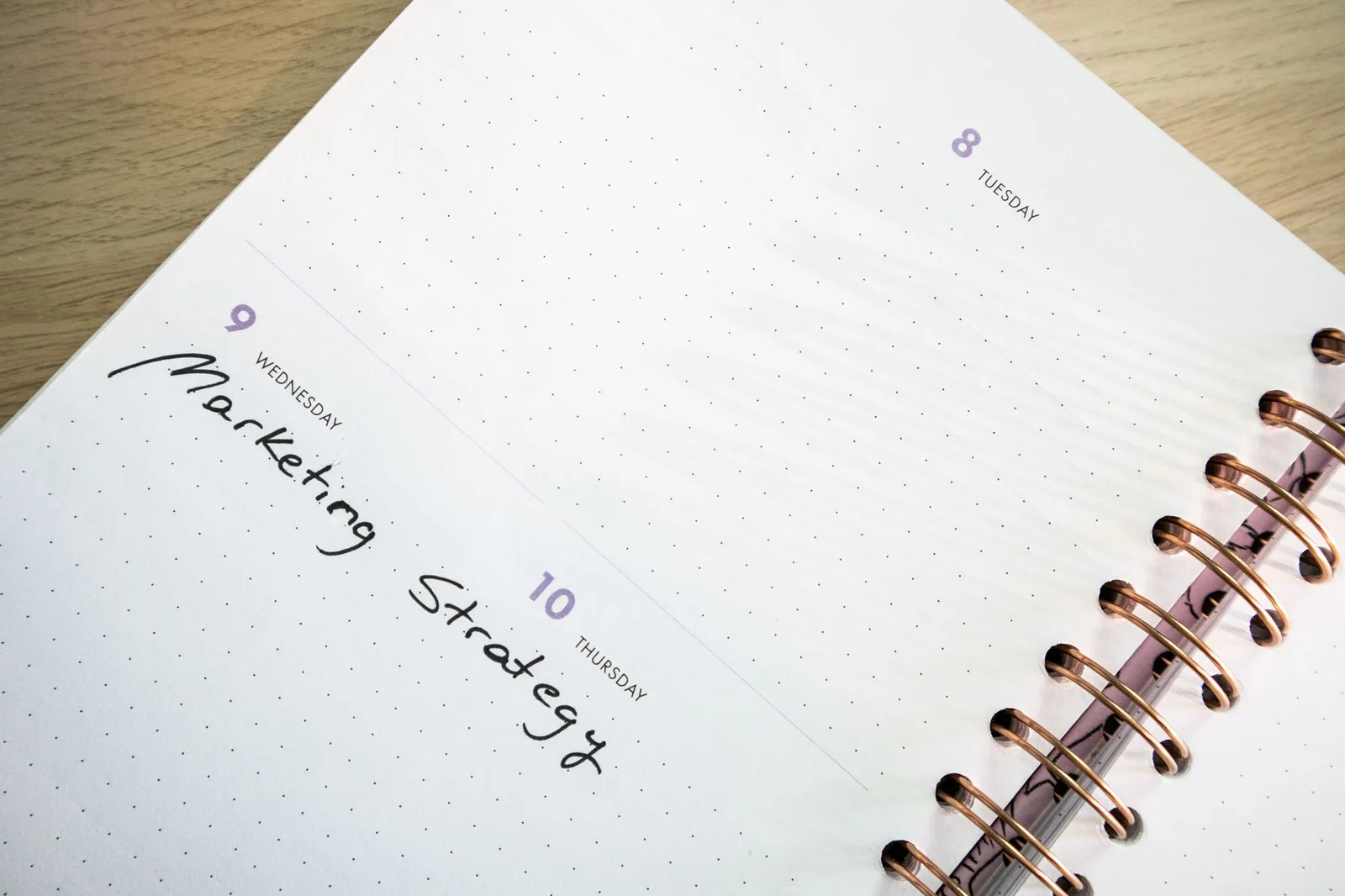 A professional using an online appointment scheduling tool