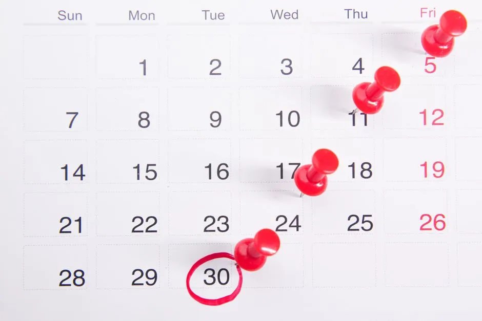 How to Cut No-Shows with SMS Reminders